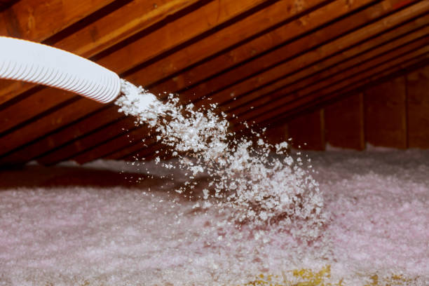 Best Insulation Installation Services in Ormond Beach, FL