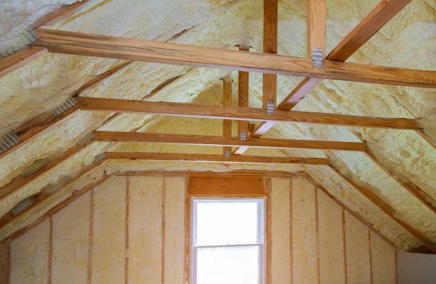 Best Residential Insulation in Ormond Beach, FL